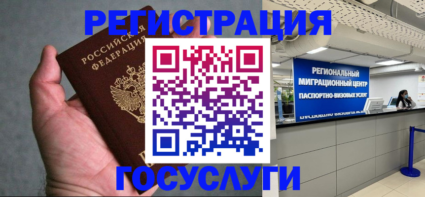 прописка поиск в Нелидово